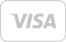 Icone Visa